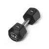 Centr x Hyrox Urethane Hexagon Dumbbell - 12,5 kg