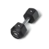 Centr x Hyrox Urethane Hexagon Dumbbell - 10 kg