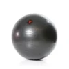 Gymstick Burst Resistant Gymbal - Fitnessbal - Met Online Trainingsvideo's - 65 cm