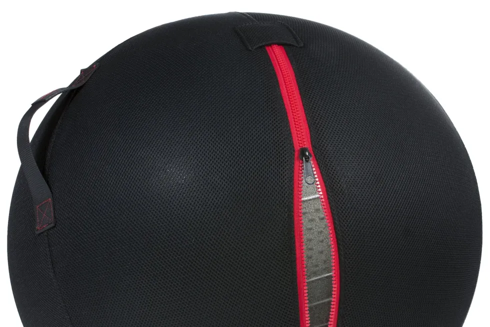 Gymstick Office Ball - 65 cm - Met Online Trainingsvideo's