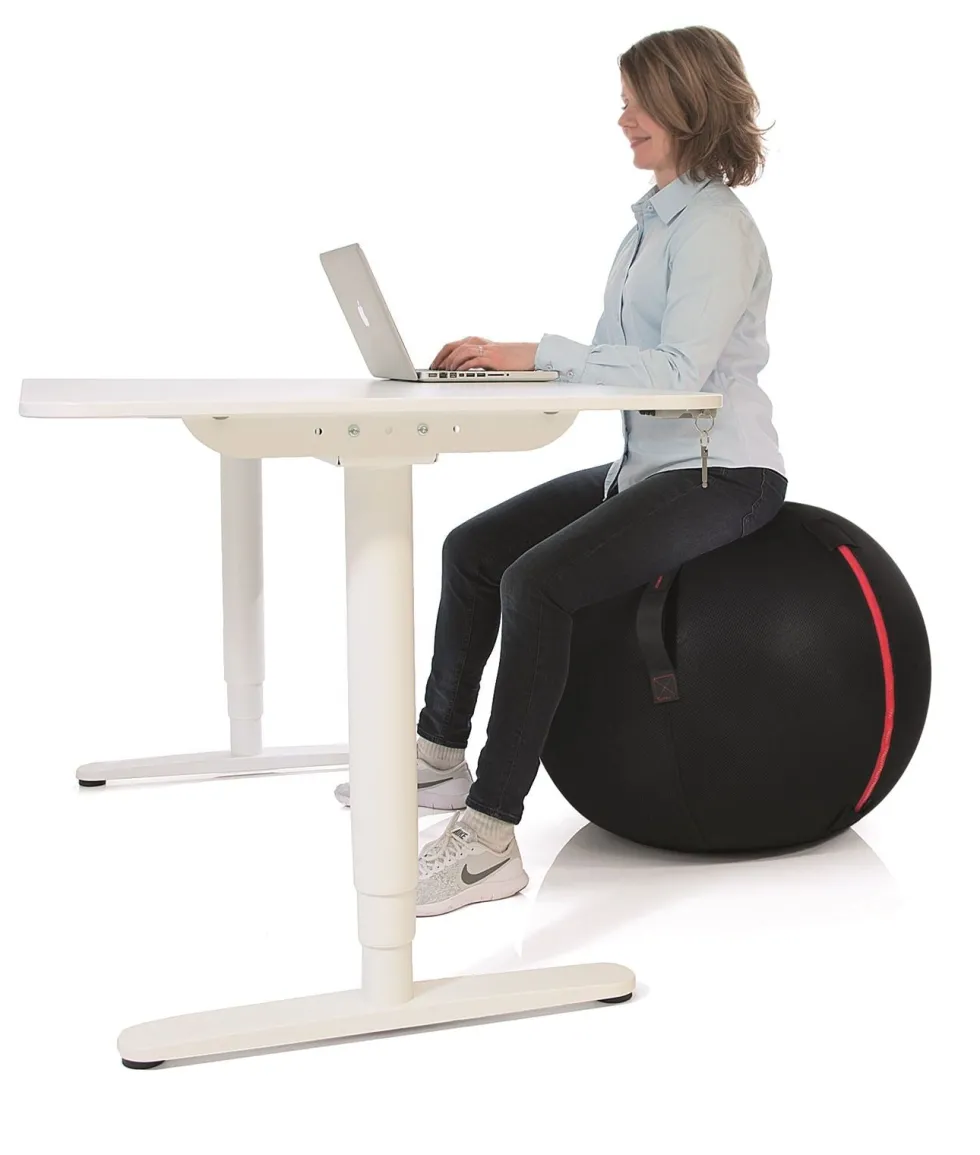 Gymstick Office Ball - 65 cm - Met Online Trainingsvideo's
