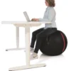 Gymstick Office Ball - 75 cm - Met Online Trainingsvideo's
