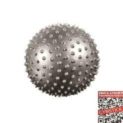 Gymstick Pilates Bal - 20 cm - Grijs
