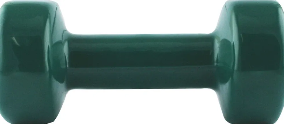 HMS Gietijzeren Dumbbell met Vinyl Coating - 4 kg