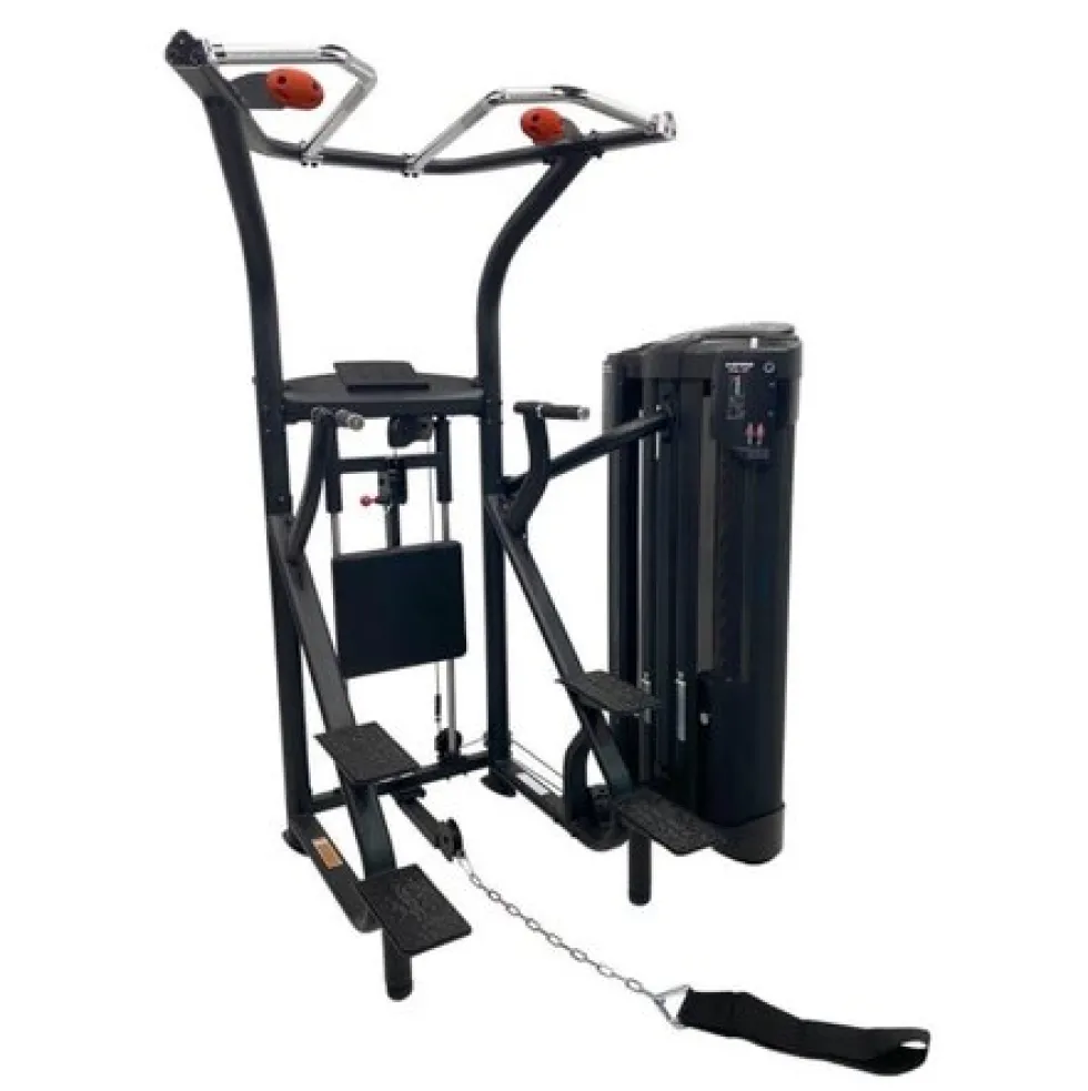 Inspire DUAL Station Chin Up Krachtstation