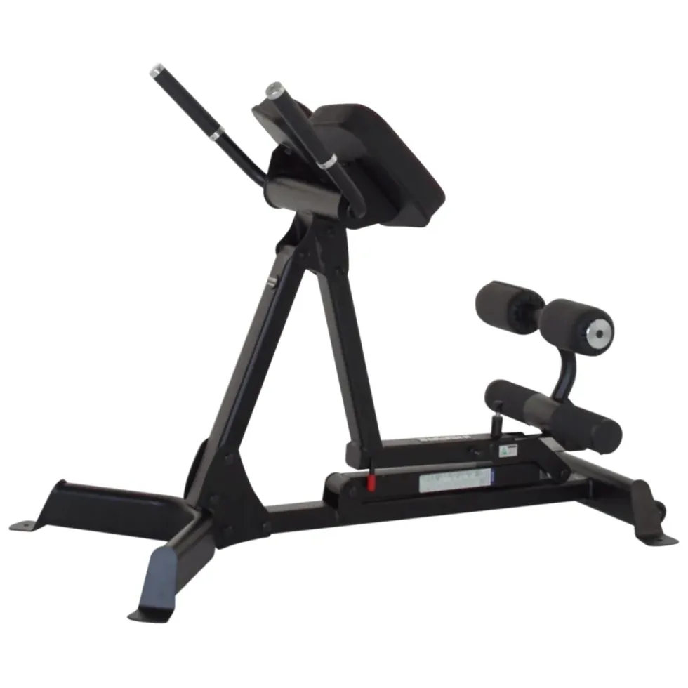 Inspire Verstelbare Hyperextension - GHD Trainingsbank