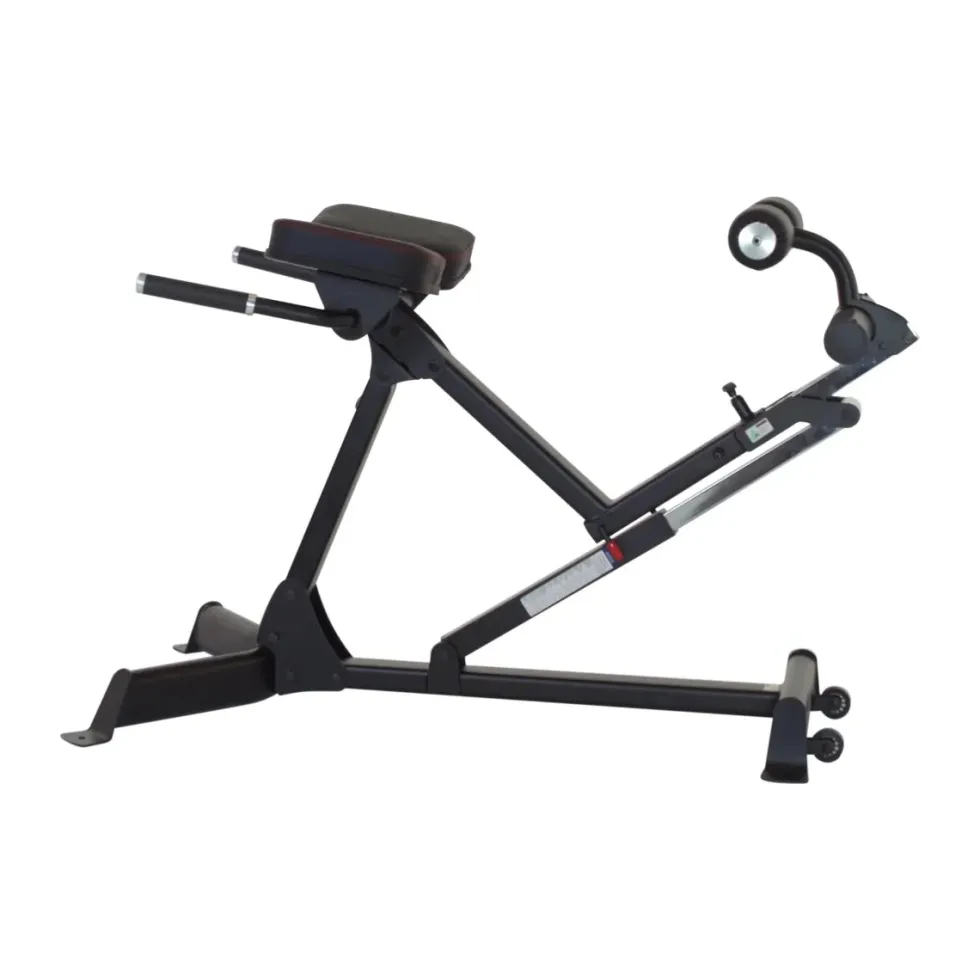 Inspire Verstelbare Hyperextension - GHD Trainingsbank