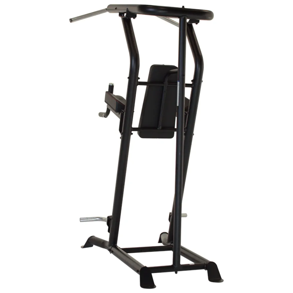 Inspire VKR Vertical Knee Raise - Power Tower