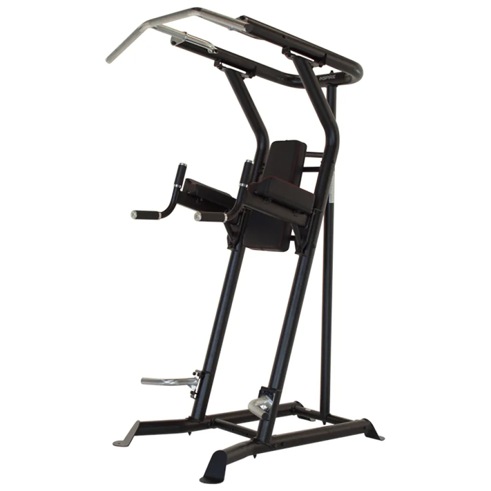 Inspire VKR Vertical Knee Raise - Power Tower