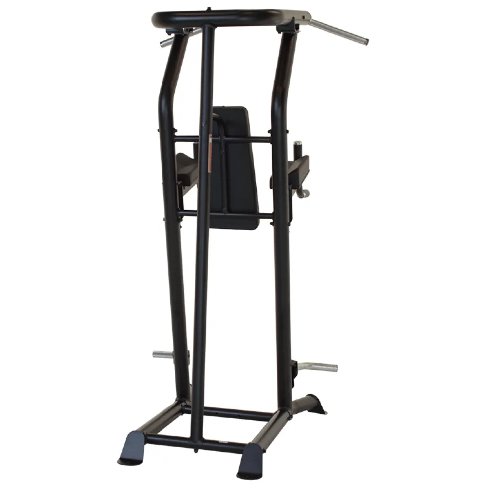 Inspire VKR Vertical Knee Raise - Power Tower