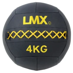 Lifemaxx Wall Ball Premium - 4 kg