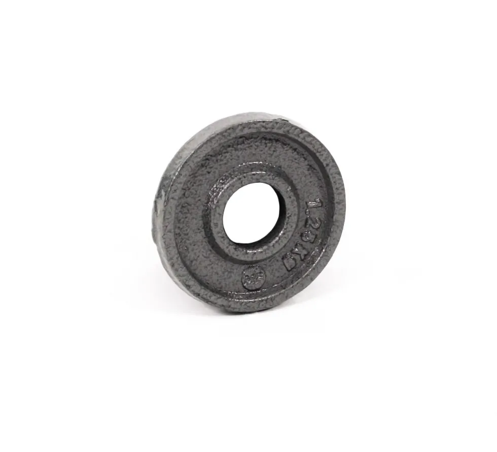 Muscle Power Gietijzeren Halterschijf - 50 mm - 1,25 kg