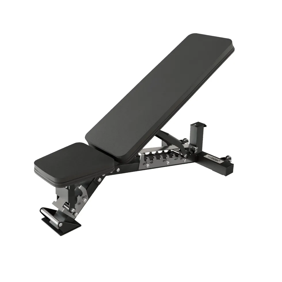 Muscle Power Professionele Verstelbare Trainingsbank