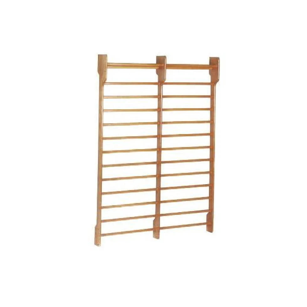 Toorx Dual Wallbar - Dubbel Wandrek