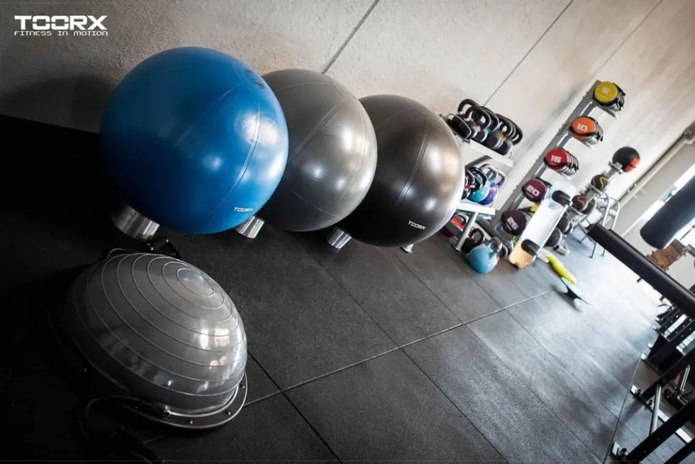 Toorx Fitnessbal Gymbal PRO Blauw - 55 cm