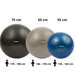 Toorx Fitnessbal Gymbal PRO Grijs - 65 cm