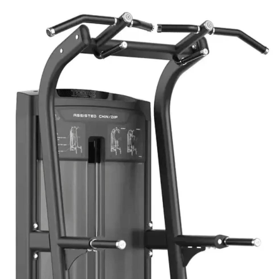 Toorx Professional Assisted Pull-up / Dip PLX-8400