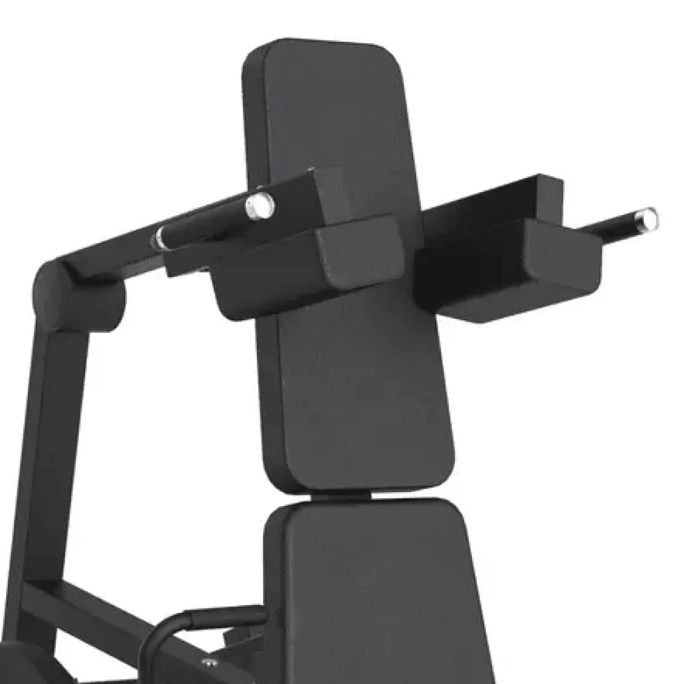 Toorx Professional Avant Hack Squat FWX-7350
