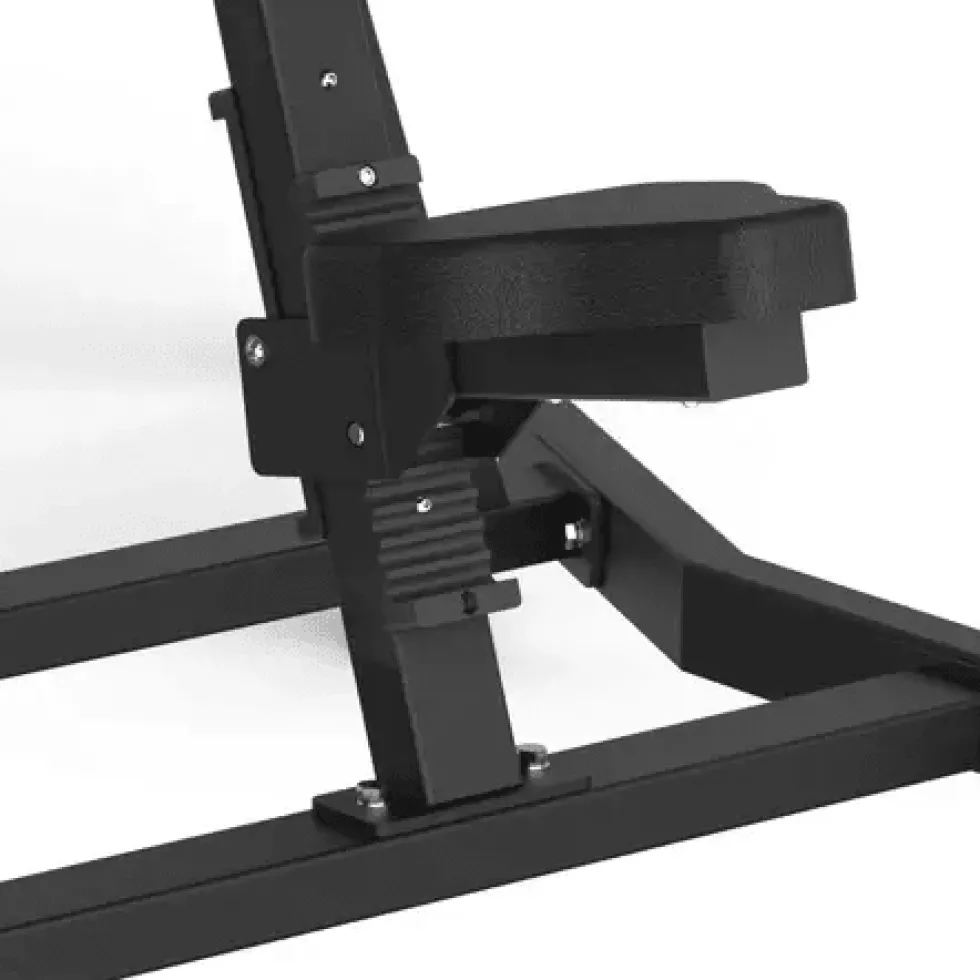 Toorx Professional Avant Lateral Raise FWX-6500