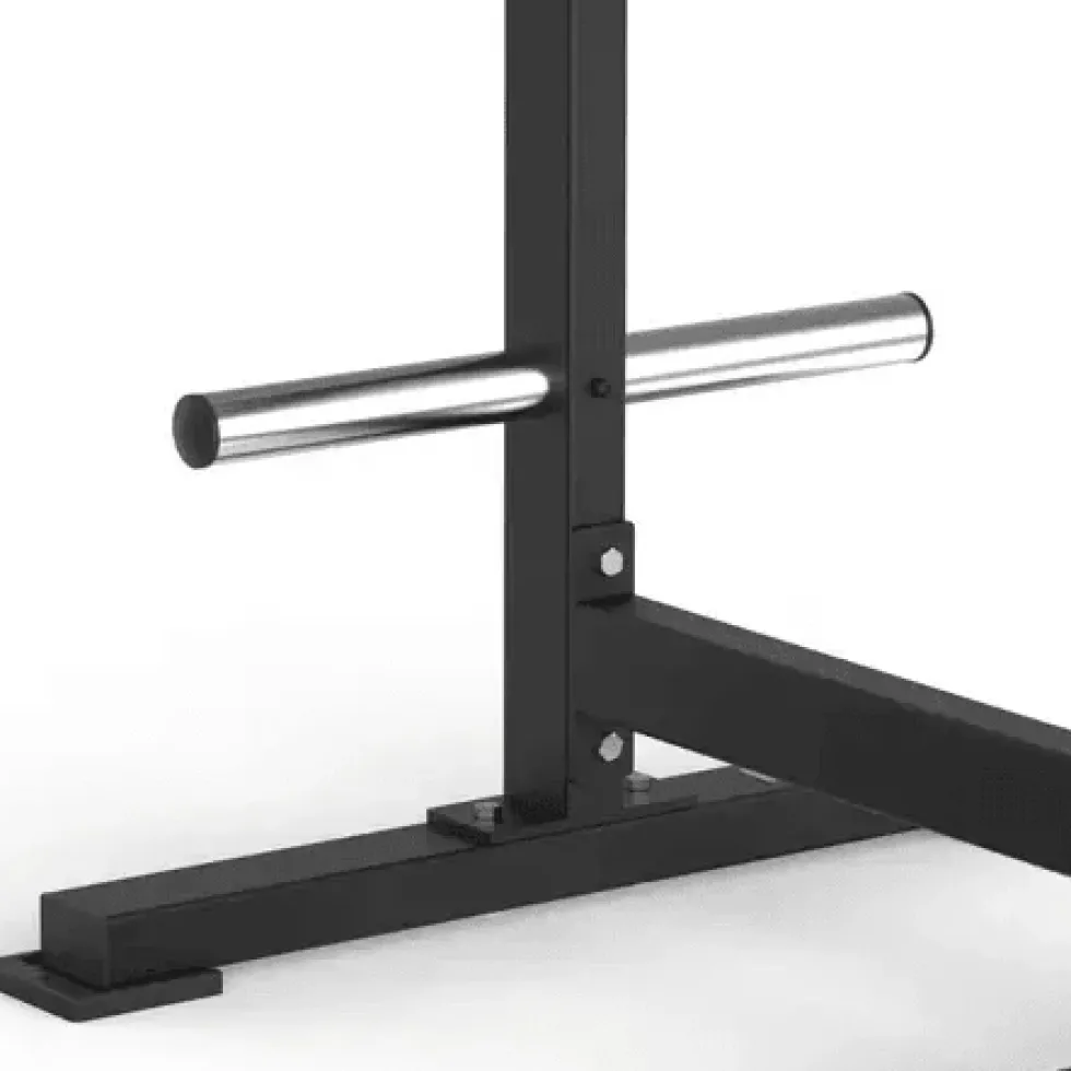 Toorx Professional Avant Standing Lateral Raise FWX-6550