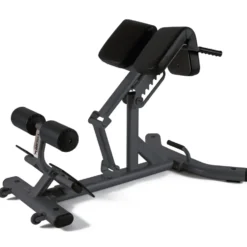 Toorx Professional WBX-B2600 Back Extension