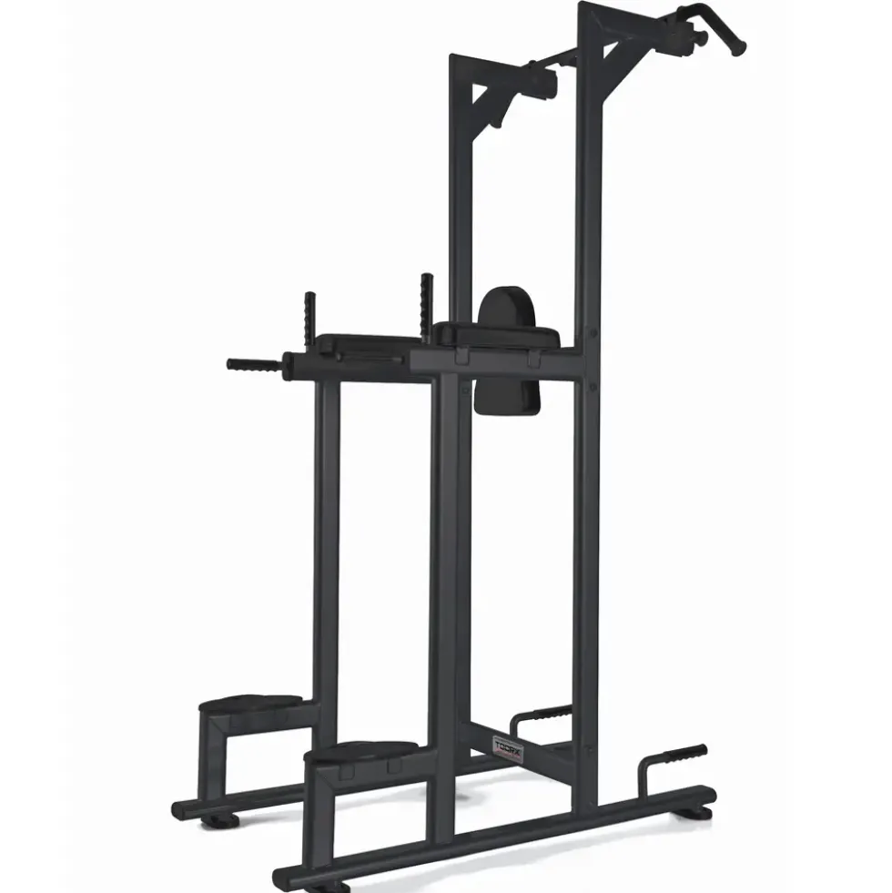 Toorx Professional WBX-B2800 Chin Ups, Dips & Leg Raise