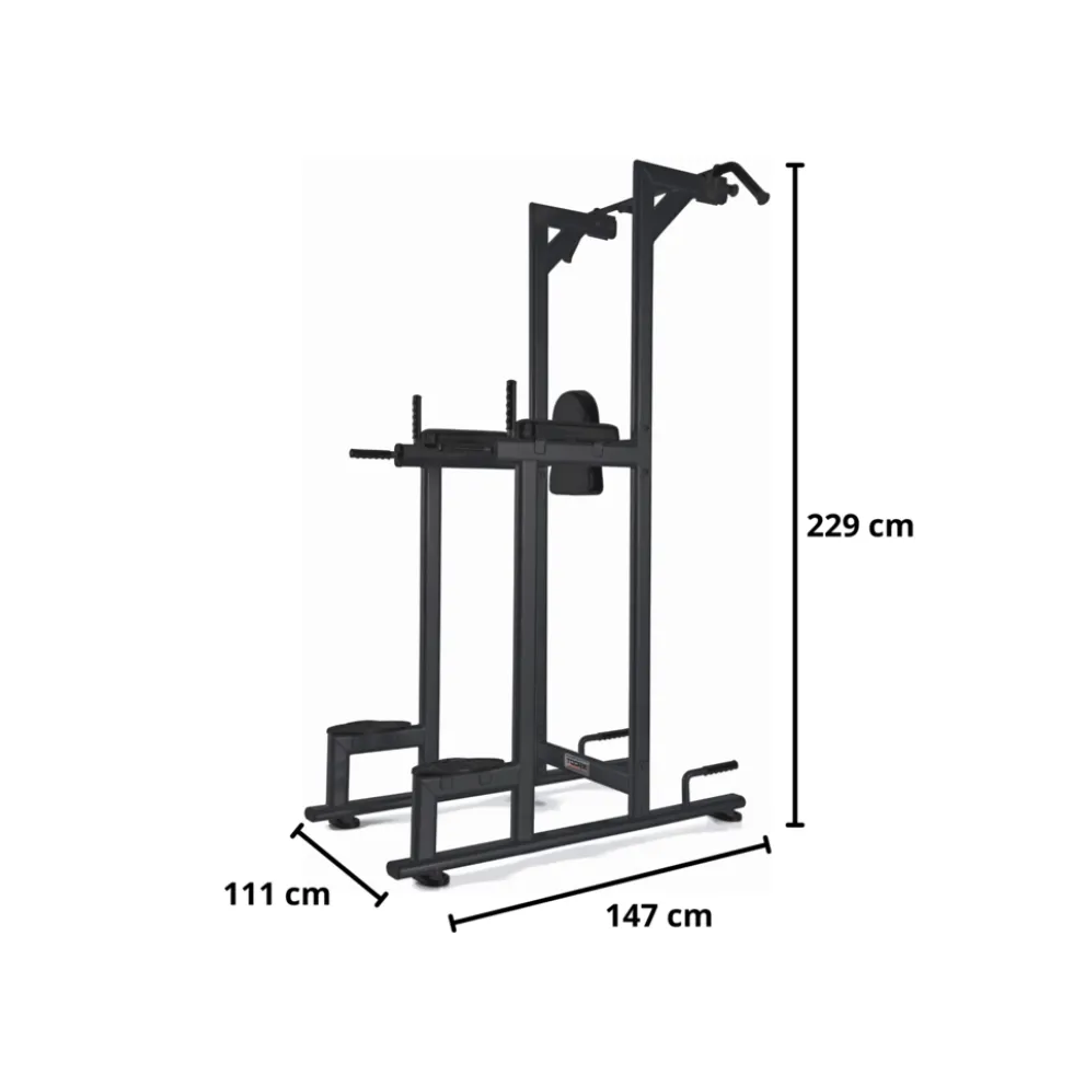 Toorx Professional WBX-B2800 Chin Ups, Dips & Leg Raise