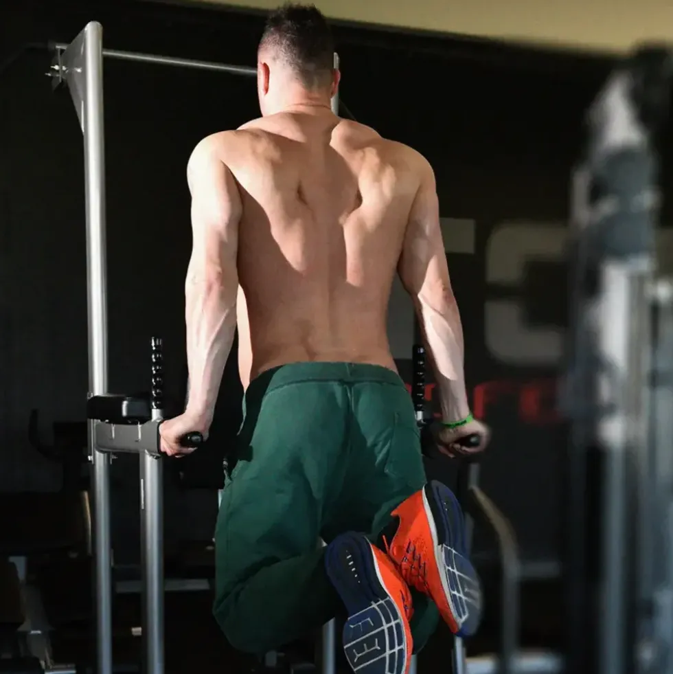 Toorx Professional WBX-B2800 Chin Ups, Dips & Leg Raise