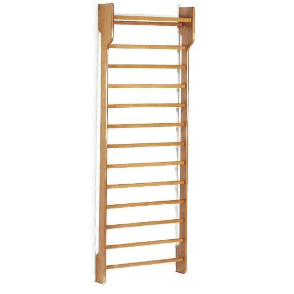 Toorx Single Wallbar - Wandrek