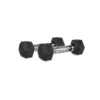 VirtuFit Hexa Dumbbell Pro Set - 2 x 1 kg